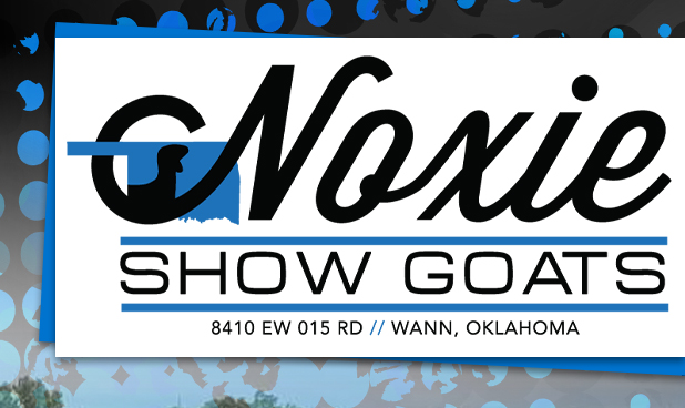 Noxie Show Goats