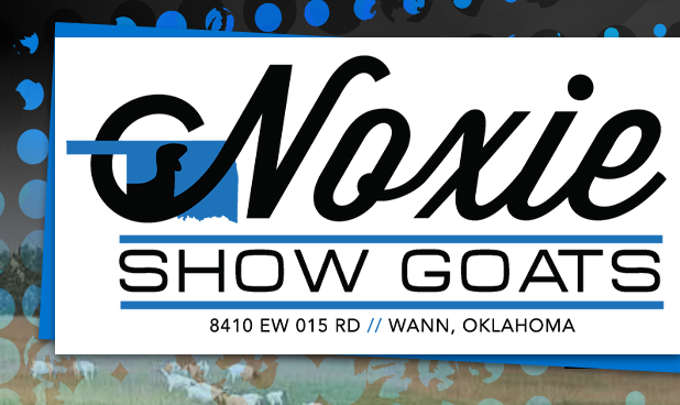 Noxie Show Goats