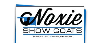 Noxie Show Goats